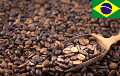 커피원두 원산지별 특징과 맛의 차이는?/중남미, 아프리카
