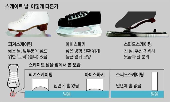 빙상 종목별 스케이트날 비교