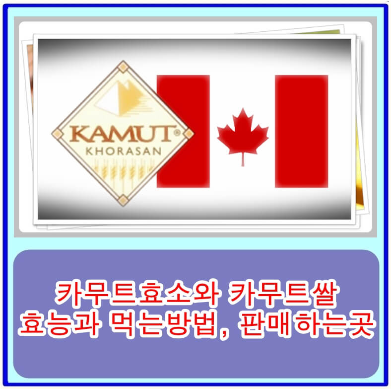 카무트효소와 카무트쌀의 효능과 먹는방법, 판매하는곳