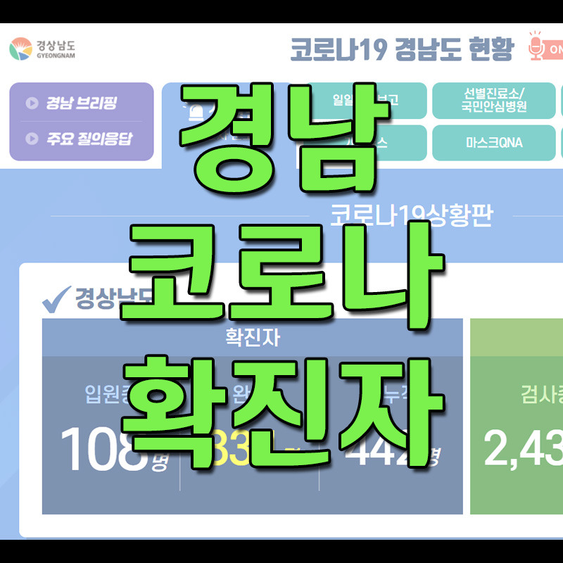 경남 코로나 확진자 현황 및 동선