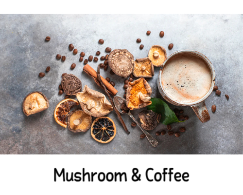 미국에서 인기있는 커피는? 버섯커피소개