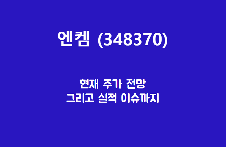 엔켐 (348370) 주가, 실적, 전망, 기업분석
