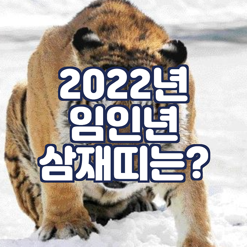 2022년 임인년 삼재띠는? (삼재가 뭘까요?)