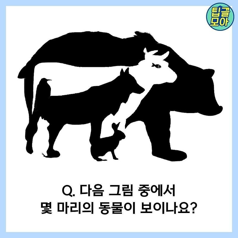 정신연령 테스트