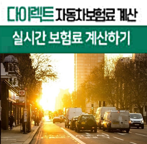 누구나 편하게 실시간으로 알아볼수있는 자동차보험료계산기