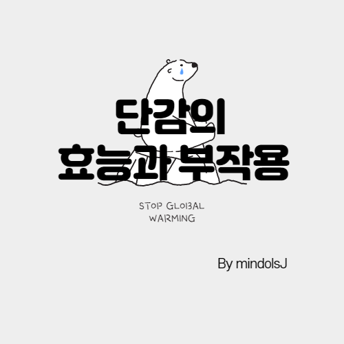 단감 효능과 부작용