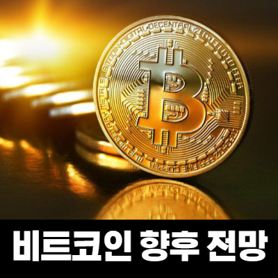 비트코인 향후 전망에 대한 생각