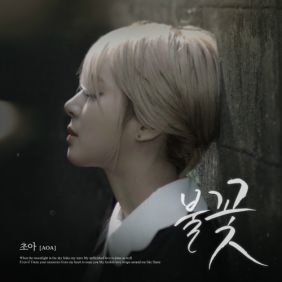 초아 (박초아) 불꽃 듣기/가사/앨범/유튜브/뮤비/반복재생/작곡작사
