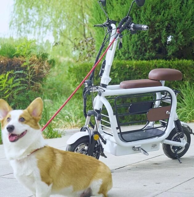 애완동물과 함께 탈 수 있는 접이식 전기 스쿠터 VIDEO:A compact e-scooter to take your dog for a ride ペット乗せバイク