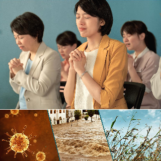 [신앙간증문]하나님의 양은 하나님의 음성을 듣습니다 참도를 알아볼 때 하나님 말씀을 들어야 합니다