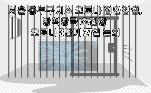 서울 동부구치소 코로나 집단감염, 방역당국 초긴장 코로나 3단계 27일 논의