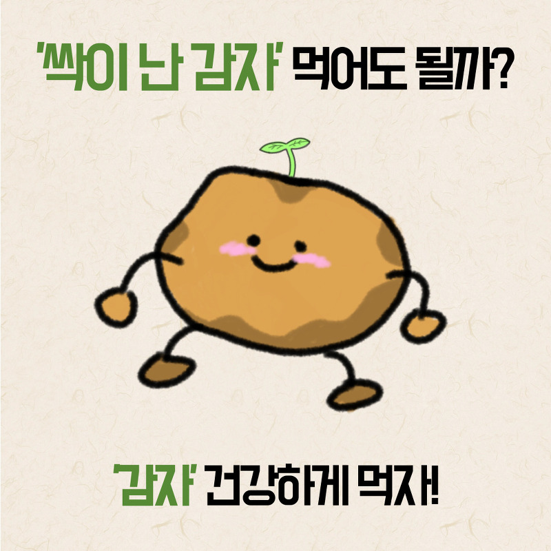 '싹이 난 감자' 먹어도 될까?!