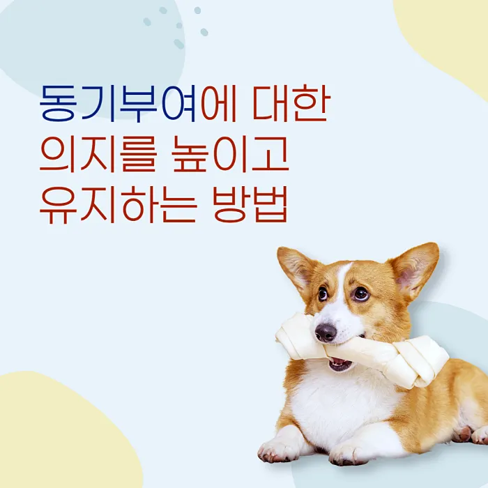 동기부여에 대한 의지를 높이고 유지하는 방법