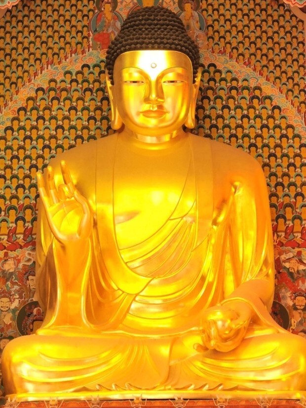 사성제 란? 부처님의 4가지 가르침