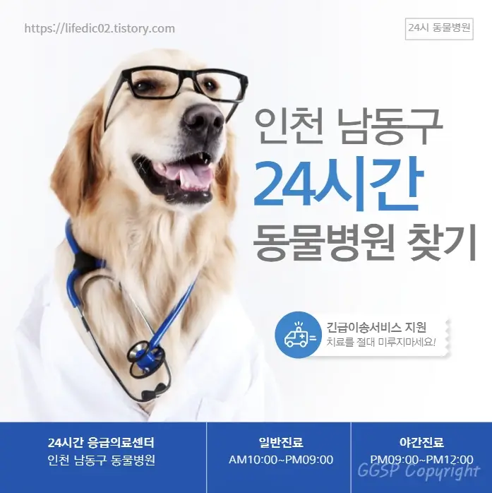 인천 남동구 24시간 동물병원 근처 야간 일요일 강아지 병원 44곳