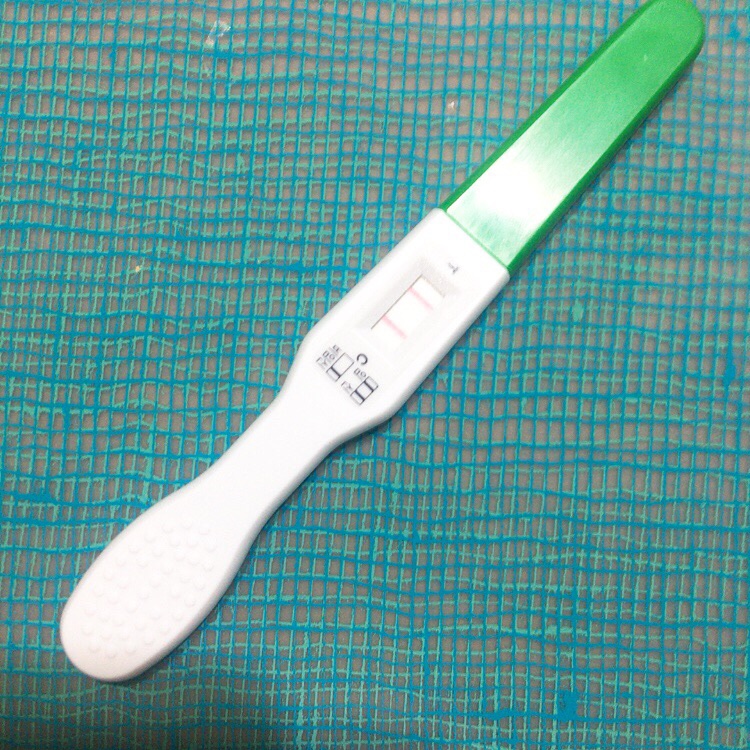 [임신/둘째/배란일계산기] 임신초기증상/임산부/산부인과