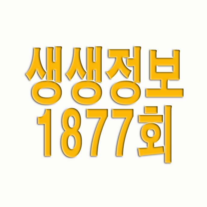 생생정보 1877회 8월 25일 대전 성심당 케익부띠끄, 의정부 에센브로트, 하이그라운드제빵소