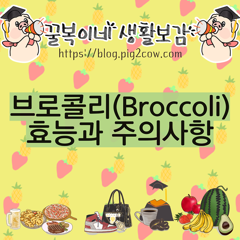 브로콜리(Broccoli) 효능, 영양소 그리고 주의사항
