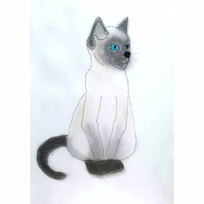 Cat 고양이 일러스트레이션 펜화 색연필화 그리기