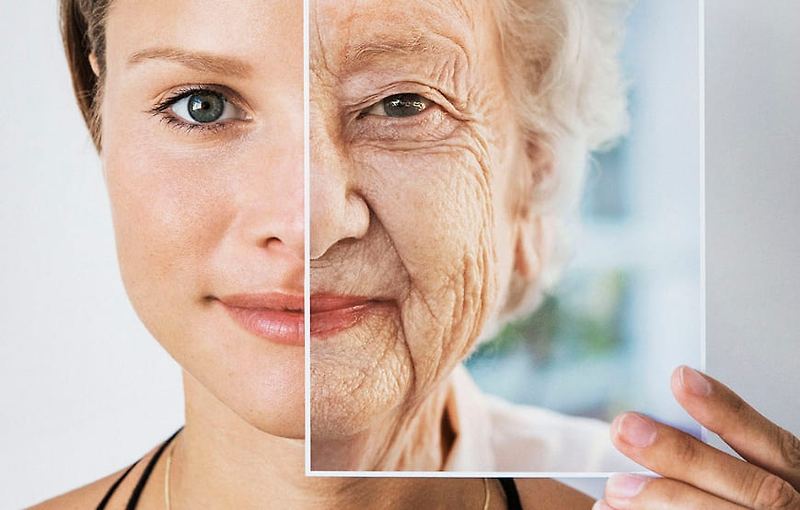 노화의 진짜 원인들...12가지 특징 Scientists Indicate 12 Hallmarks of Aging