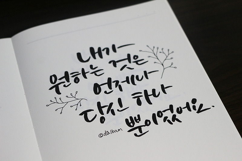 삼생삼세 십리도화 명대사 캘리그라피로 쓰기