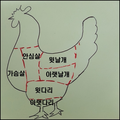 닭고기에 대한 똑바른 정보 파헤치기