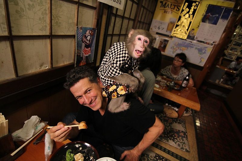 원숭이가 서빙하는 일본 선술집…이자캬아, 원숭이식당 ‘카야부키야’에 가다!