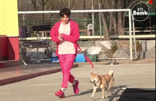 방탄소년단 정국, 남다른 강아지 산책법과 빛나는 비주얼