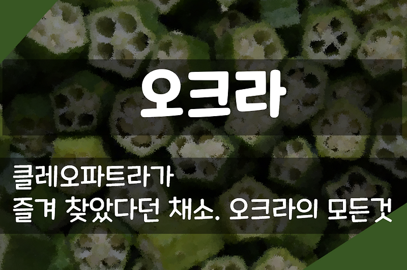 오크라 효능 - 클레오파트라의 신의 채소