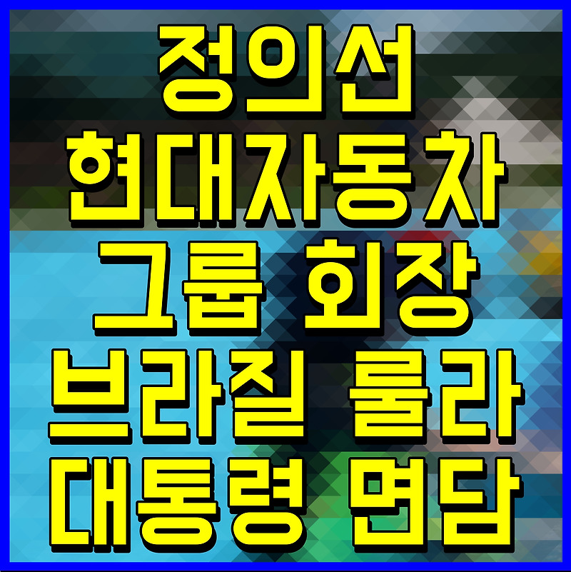 정의선 현대자동차그룹 회장 브라질 룰라 대통령 면담