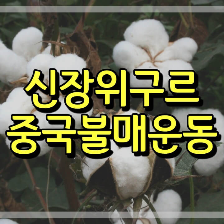 신장 위구르 면화 ( 중국 불매 운동, H&M, 나이키 )