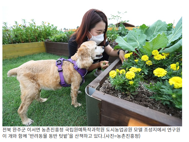 동물학대 제재 강화·맹견 사육허가제 도입(‘동물보호법’ 전부 개정안 국회 통과…반려동물행동지도사 국가자격도 신설)
