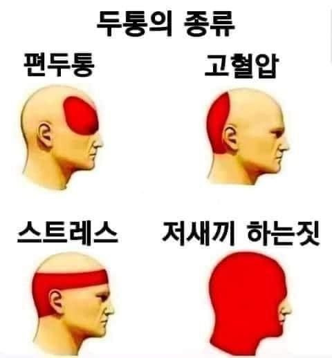 두통의 종류