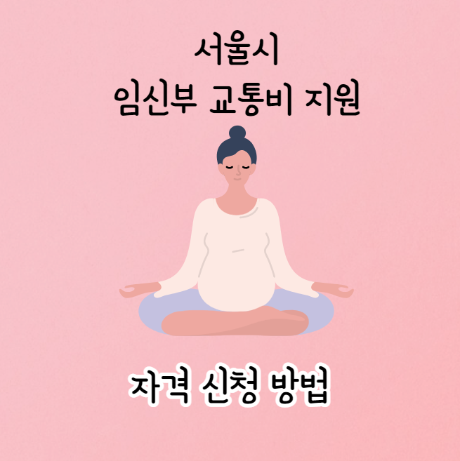 서울시 임신부 교통비 지원 자격 신청 방법