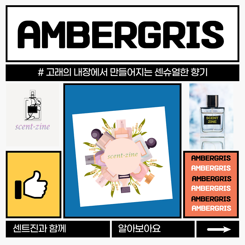 앰버그리스 Ambergris 용연향 바카라루쥬