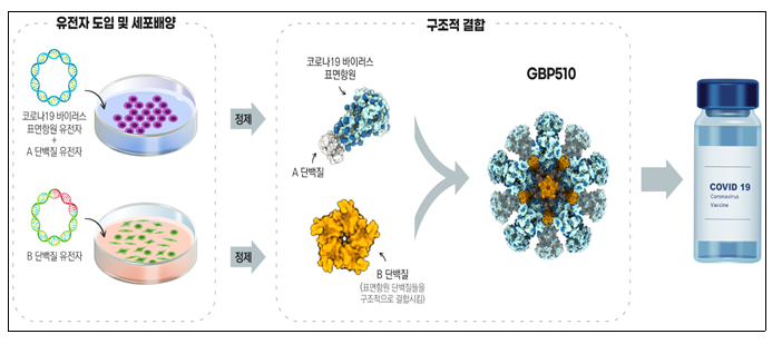 [식품의약품안전처] 국내 개발 코로나19 백신 3상 임상시험 승인