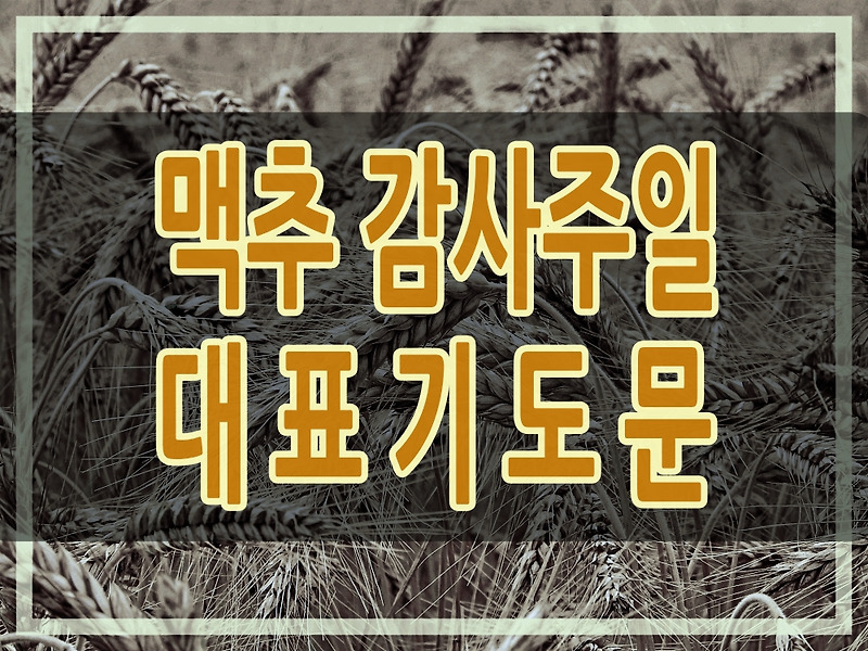 7월 첫주 맥추감사주일 대표기도문