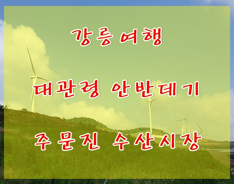 강릉여행 추처 안반데기 주문진수산시장 강릉가볼만한곳 여름여행코스