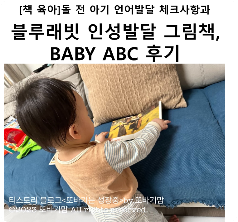 [책 육아] 돌 전 아기 언어 발달 사항과 돌 전 아기가 읽기 좋은 블루래빗 인성 발달 그림책 및 BABY ABC
