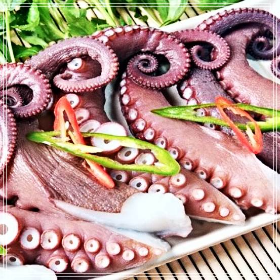 7월 26일 SBS 모닝와이드 먹자포구 맛있는 붉은 대물, 피문어 맛집 동해, 묵호항 문어 요리 한상 위치