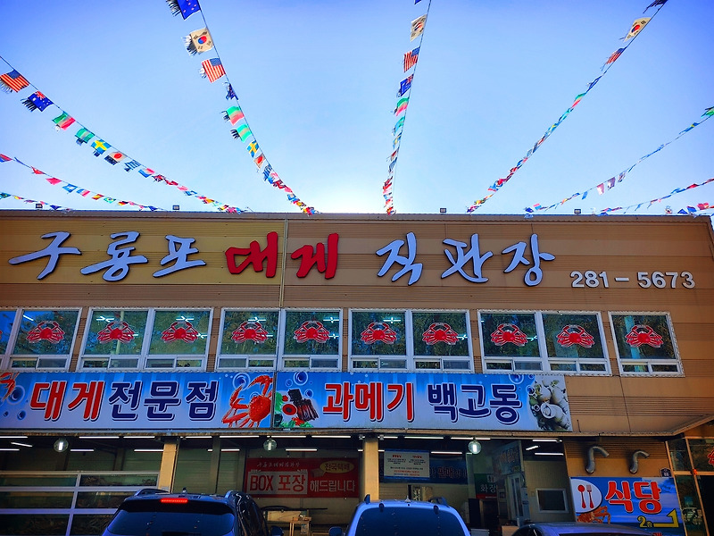 [포항 구룡포 맛집] 대게 킹크랩 박달대게 +2021.12.10시세 가격