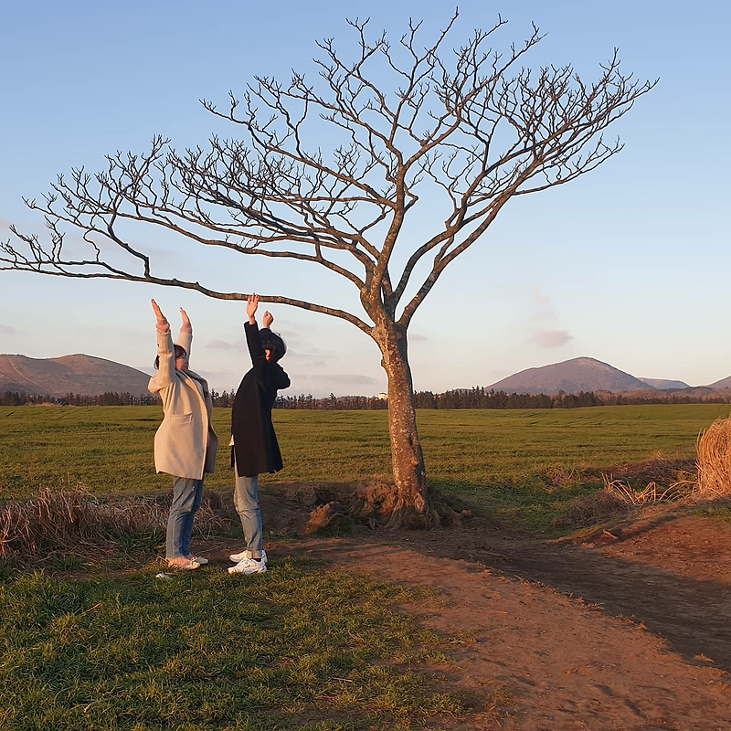 똥손의 제주도 브이로그!! 리뷰담