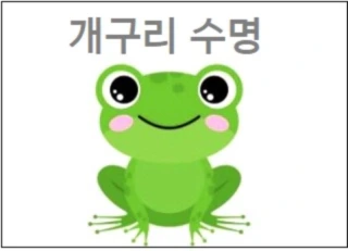 개구리 수명 개구리 먹이 상식