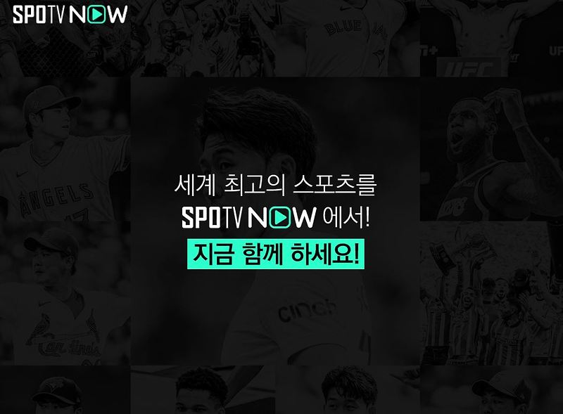 스포티비 나우 스포티비 온 바로가기
