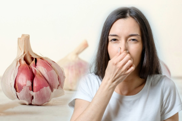 입냄새 없애는 가장 쉬운 방법...'이것' 먹으세요! Yogurt Emerges as New Remedy for Garlic Breath