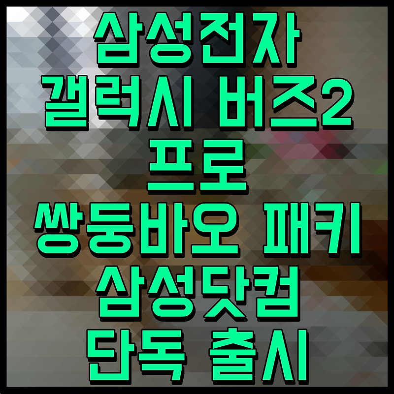 삼성전자 갤럭시 버즈2 프로 쌍둥바오 패키 삼성닷컴 단독 출시