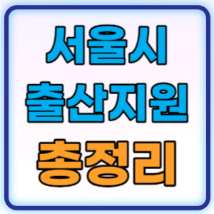 서울시 자치구 출산지원금 출산장려금 알아보기 총정리