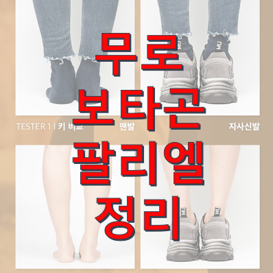 무로 보타곤 팔리엘 운동화 비교 후기 모음