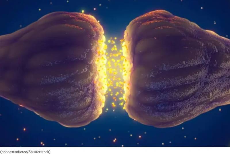 롱 코비드, 장기에 의한 각종 감각 손상 증상 유발...종합적 치료해야: MIT MIT 'Gut Instinct' Cause for Numerous Sensory Symptoms in Long COVID, Doctors Offer Comprehensive Treatment