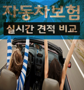 다이렉트 자동차보험료계산기 효율만점!!